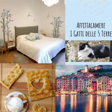 I Gatti Delle 5 Terre 게스트하우스