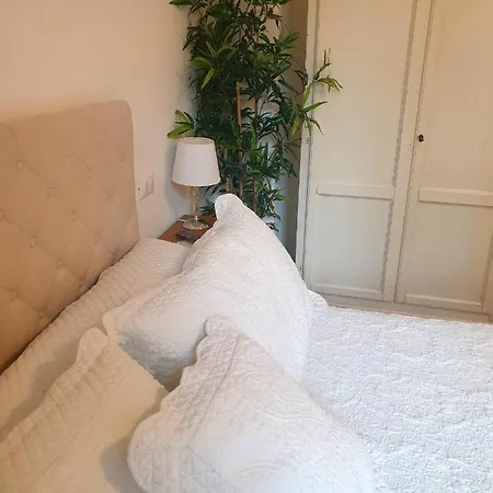 I Gatti Delle 5 Terre بيت ضيافة لا سبيتسْيا