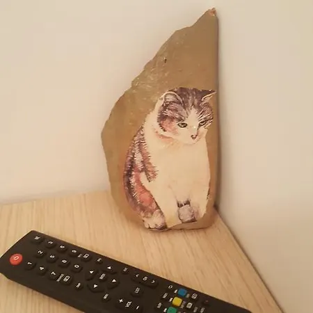 I Gatti Delle 5 Terre La Spezia