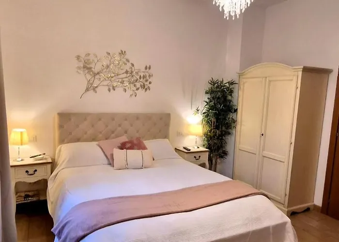 I Gatti Delle 5 Terre